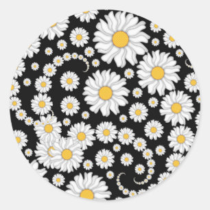 Mooie Witte Madeliefjes op Zwarte Achtergrond Ronde Sticker