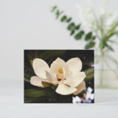 Mooie witte Magnolia boom bloesem close-up Briefkaart (Staand voorkant)
