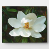 Mooie witte Magnolia Flower Fotoplaat (Voorkant)
