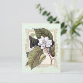 Mooie witte Magnolia formele diner partij Kaart (Staand voorkant)