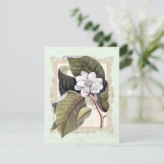 Mooie witte Magnolia formele diner partij Kaart (Staand voorkant)