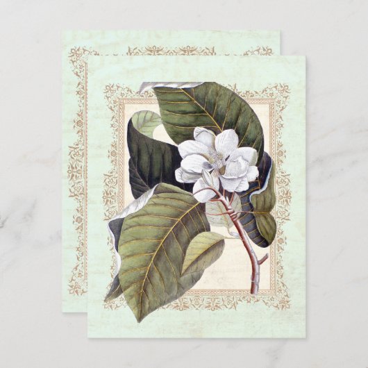 Mooie witte Magnolia formele diner partij Kaart (Voorkant / Achterkant)