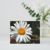 Mooie witte maisbloem prettige feestdagen bloem (Staand voorkant)