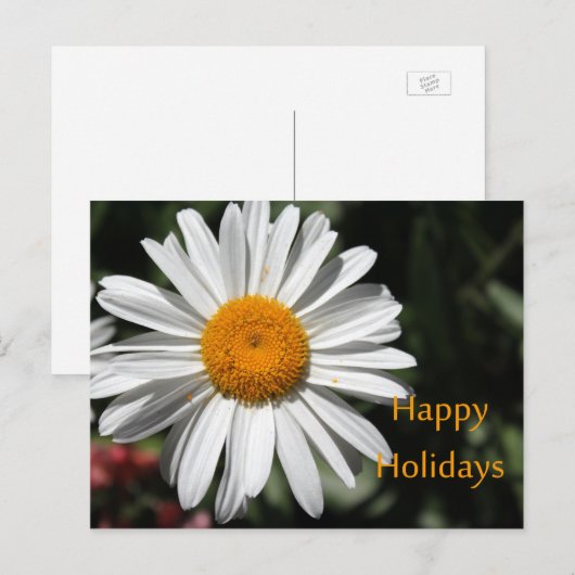 Mooie witte maisbloem prettige feestdagen bloem (Voorkant / Achterkant)