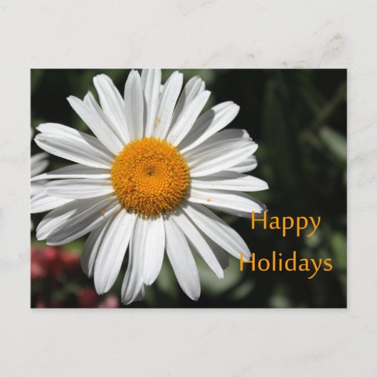 Mooie witte maisbloem prettige feestdagen bloem (Voorkant)