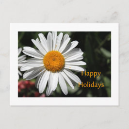 Mooie witte maisbloem prettige feestdagen bloem