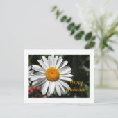 Mooie witte maisbloem prettige feestdagen bloem (Staand voorkant)