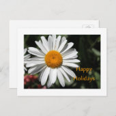 Mooie witte maisbloem prettige feestdagen bloem (Voorkant / Achterkant)