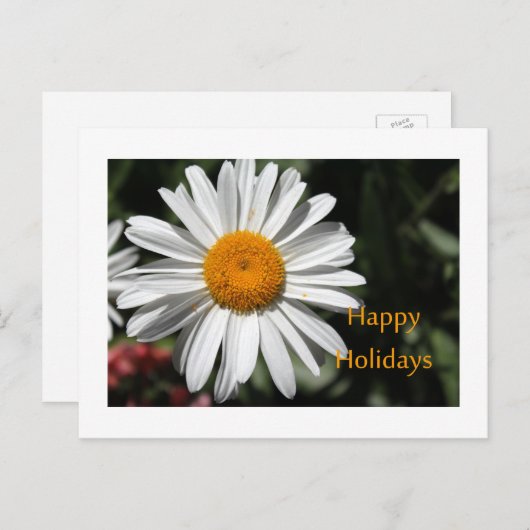 Mooie witte maisbloem prettige feestdagen bloem (Voorkant / Achterkant)