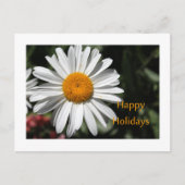 Mooie witte maisbloem prettige feestdagen bloem (Voorkant)