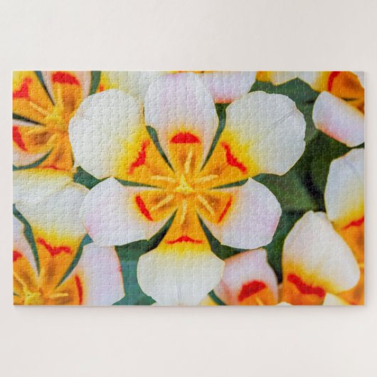 Mooie witte, oranje en rode bloem legpuzzel (Horizontaal)