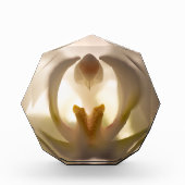 Mooie witte orchidee afdruk foto blok (Voorkant)