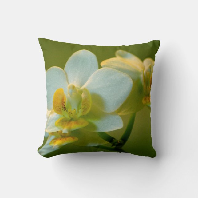 mooie witte orchidee bloem in het groen. Bloemtuin Kussen (Voorkant)