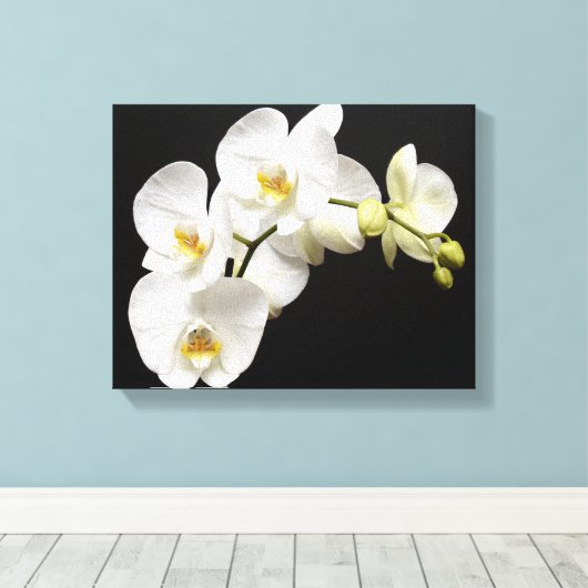 Mooie witte orchidee met zwarte achtergrond canvas afdruk (Insitu (Houten vloer))
