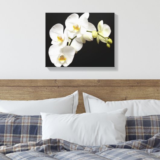 Mooie witte orchidee met zwarte achtergrond canvas afdruk (Insitu (Slaapkamer))