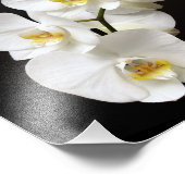 Mooie witte orchidee met zwarte achtergrond foto afdruk (Hoek)