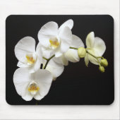 Mooie witte orchidee met zwarte achtergrond muismat (Voorkant)