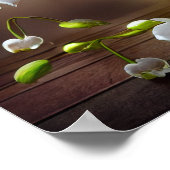 Mooie witte orchideeën bloemstuk   poster (Hoek)