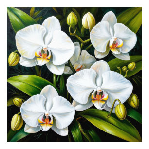 mooie witte orchideeën foto afdruk