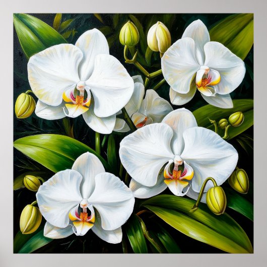 Mooie Witte Orchideeën Luxe Decoratie & Cadeau (Voorkant)