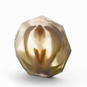 Mooie witte orchideeënprint fotoblok (Rechts)