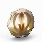 Mooie witte orchideeënprint fotoblok (Links)
