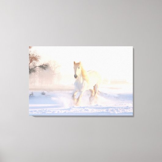 Mooie Witte Paard Canvas Afdruk (Voorkant)