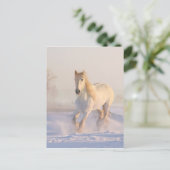 Mooie witte paarden die in de sneeuw lopen briefkaart (Staand voorkant)