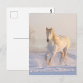 Mooie witte paarden die in de sneeuw lopen briefkaart (Voorkant / Achterkant)