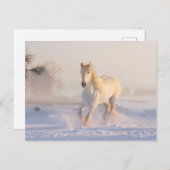 Mooie witte paarden die in de sneeuw lopen briefkaart (Voorkant / Achterkant)