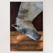 Mooie witte paarden legpuzzel (Verticaal)