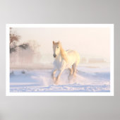 Mooie witte paarden poster (Voorkant)
