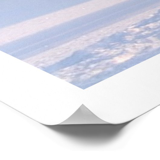 Mooie witte paarden poster (Hoek)