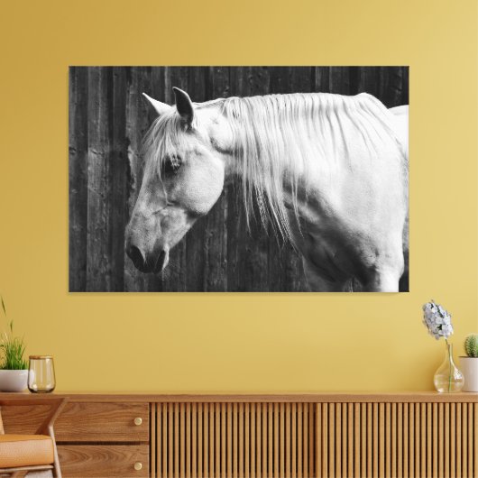 Mooie witte paarden zwart-wit canvas afdruk (Insitu (Woonkamer))