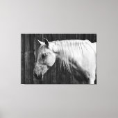 Mooie witte paarden zwart-wit canvas afdruk (Voorkant)