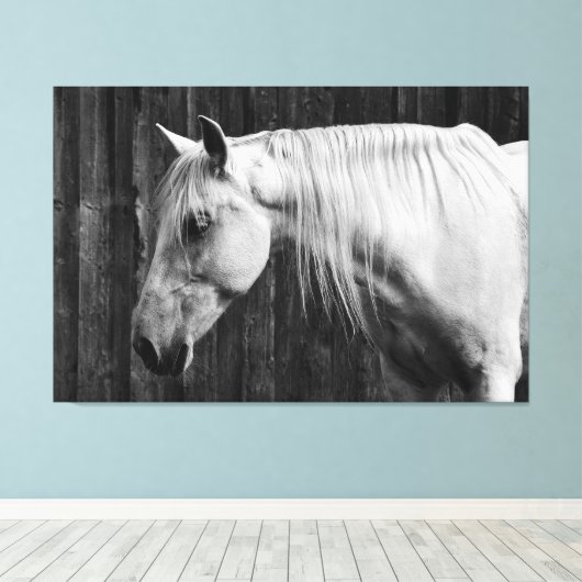 Mooie witte paarden zwart-wit canvas afdruk (Insitu (Houten vloer))