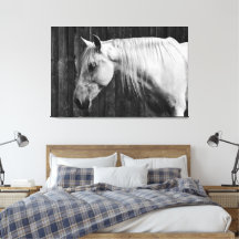 Mooie witte paarden zwart-wit
