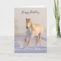 Mooie witte paardjes in de sneeuwfoto van Birthday
