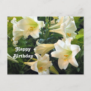 Mooie Witte Paaslelies Bloem Foto Verjaardag Briefkaart