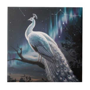 Mooie witte pauw Aurora Borealis Schilderachtig Tegeltje