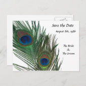 Mooie witte pauw Bewaar de datum Aankondigingskaart (Voorkant / Achterkant)