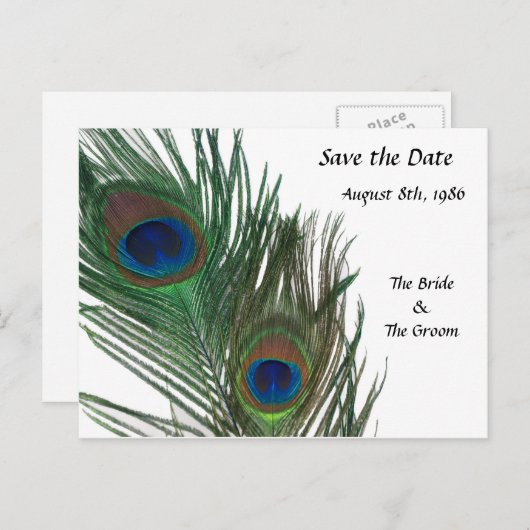 Mooie witte pauw Bewaar de datum Aankondigingskaart (Voorkant / Achterkant)
