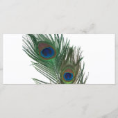 Mooie witte pauw bruiloft programma programmakaart (Achterkant)