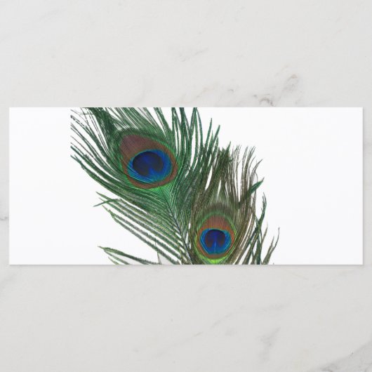 Mooie witte pauw bruiloft programma programmakaart (Achterkant)