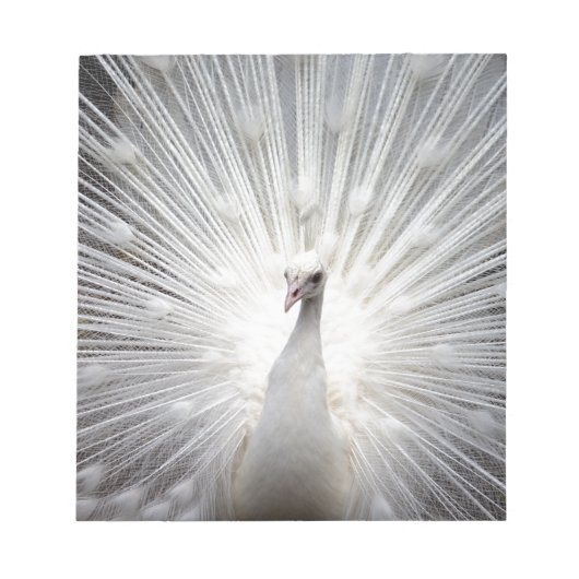 Mooie witte pauw notitieblok (Voorkant)