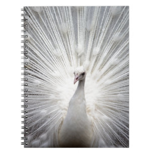 Mooie witte pauw notitieboek