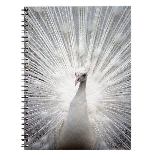 Mooie witte pauw notitieboek (Voorkant)