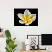 Mooie witte pellerbloem poster (Thuiskantoor)