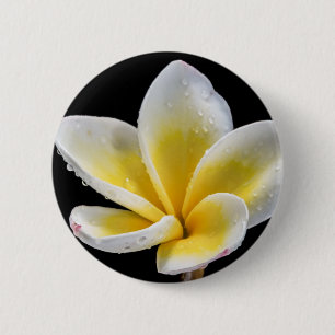 Mooie witte pellerbloem ronde button 5,7 cm