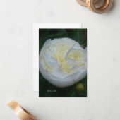 Mooie witte pioen notitiekaartje (Voorkant / Achterkant in situ)